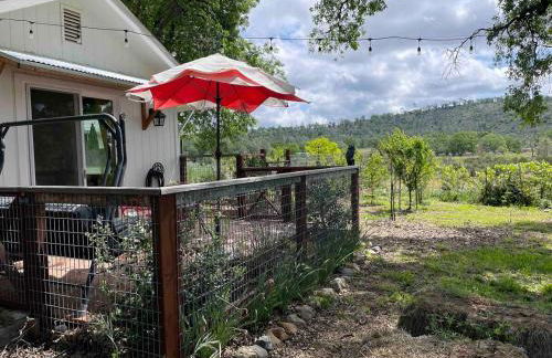 Garden house with gas fireplace - Foto 21