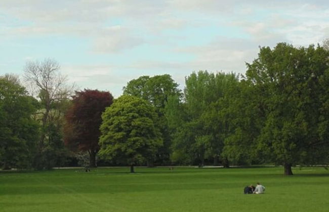 Stadtflair-Apartment - Foto 7