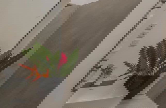 IF Villa in Unawatuna - Photo 10