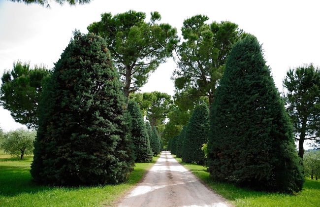 Agriturismo al Colle - Photo 53