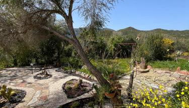 GardenRocks - Foto 2, Garden, Garden view