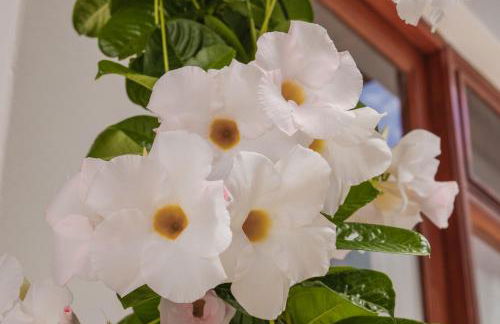 Casa Carmen - Foto 25