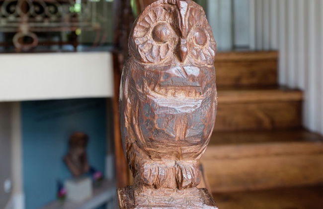 Peace, Nature & Comfort Combined - Photo 25