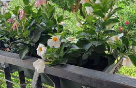 CasAnnamaria - Foto 11