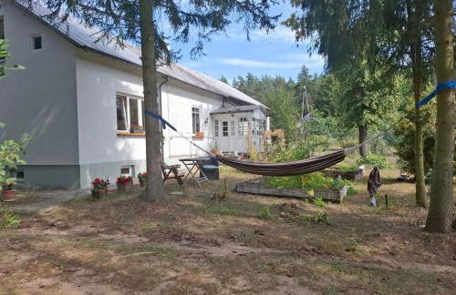 Augustówka - letnisko na Wrzosowiskach - Foto 51