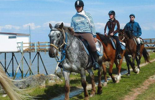 Semi-detached House on a Vineyard, Talais - Foto 41