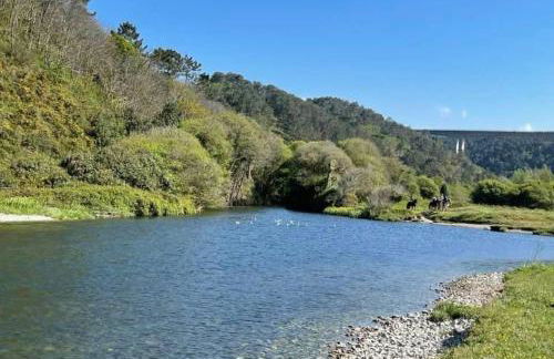 Apartamentos ELROSAL2 - Foto 11