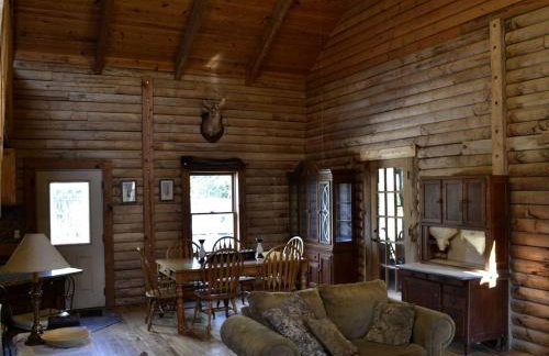 Stately Log Cabin with a Pool for a Group Getaway near Chickamauga, Georgia - Foto 3