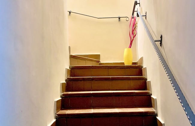 Artis Mare - Foto 70