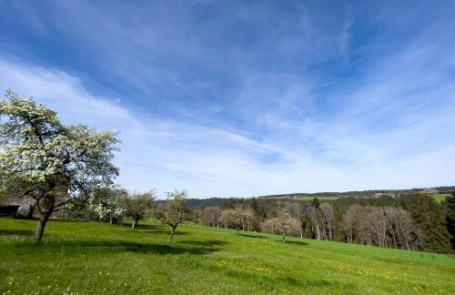 Tischneck Chalets - TraumFerienhäuser im Schwarzwald - Chalets Riva & Limone - Foto 65