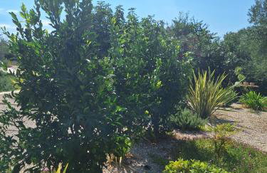 Casa dell ´amore - Foto 35