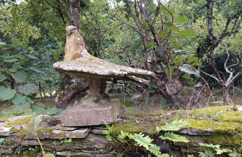 Casa Moucheiro - Foto 58