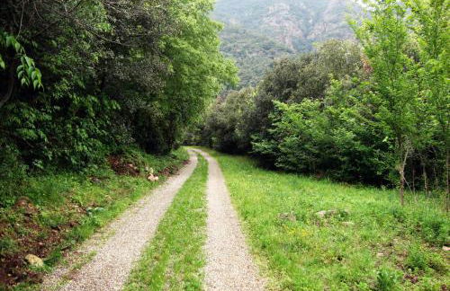 Mas Els Terrats - Foto 134