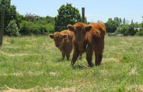 Chalet Les P'tites Maisons dans la Prairie - Foto 42