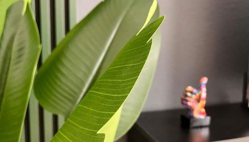 Style Studio - Foto 4