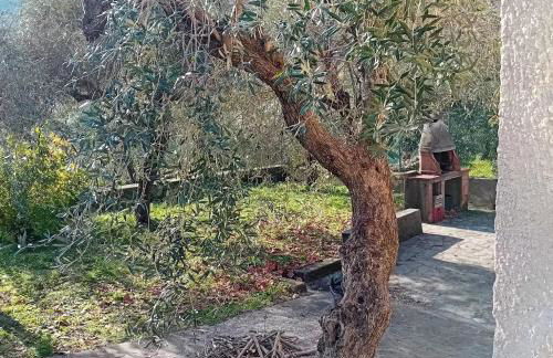 Villa Armonia ampia villa con giardino e barbecue vicino Gaeta - Photo 30