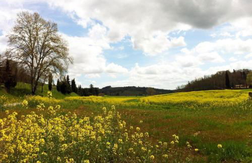 Casa vacanza LA FARFALLA PT - Foto 75