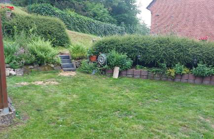 Ferienhaus in Geesthacht-Tesperhude direkt am Waldrand - Foto 4