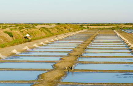 La Plage - Appartement face mer sur la plage - Foto 17