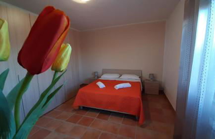 Casale della Minaga - Foto 36