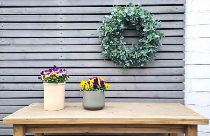 Kleine Oase - Foto 33