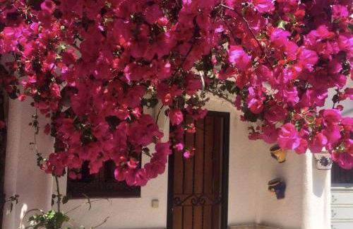 Villa GAN EDEN - Foto 15