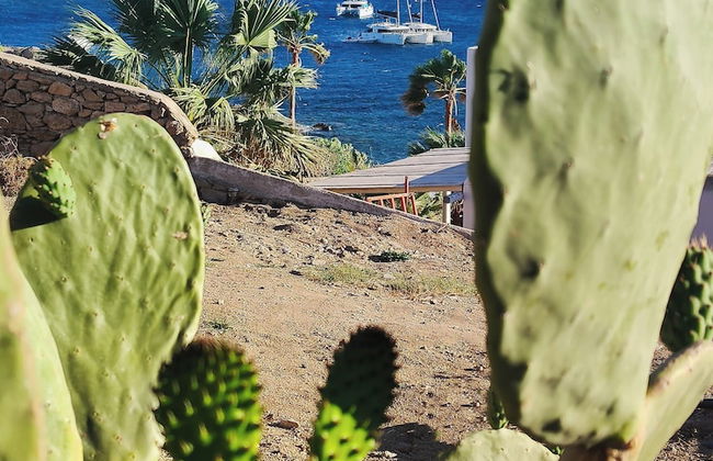 Seacode Villas - Foto 64