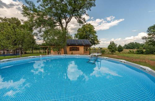 Forest Paradise - Foto 18