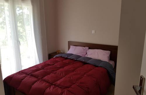Dimas House - Photo 11