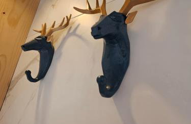 White Dunajec Sauna & Bubles - Foto 43