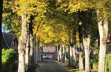 Ferienwohnung Am Holzfeld - Photo 1