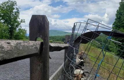 New- Farm view-Winter escape with cozy fireplace - Foto 56