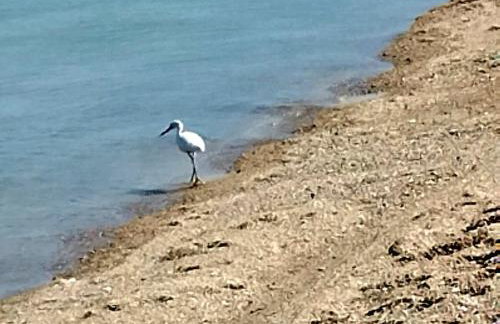 Studio com ar condicionado e estacionamento gratuito próximo ao aeroporto e praias - Foto 10