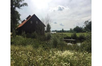 Poganty - Jałownik - Foto 12