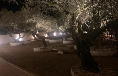 El Rincón del Brillante - Photo 16