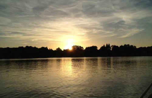 Nachtigall - Foto 28