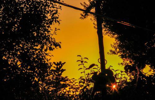 La Casetta di Titti - Foto 4