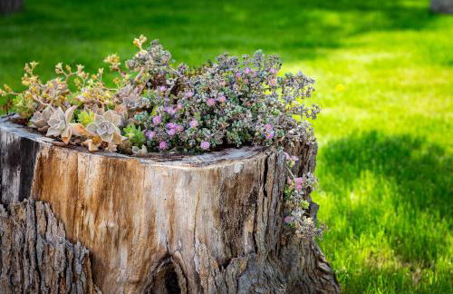 Casa di Pietra - Foto 80