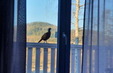 Apartamenty Lavender Hill - Foto 49