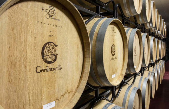 Visita à adega Gordonzello - Foto 5