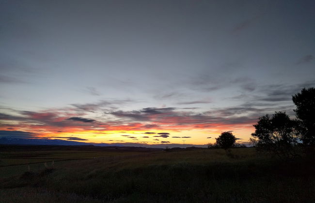 Hjartarstadir Guesthouse - Foto 33