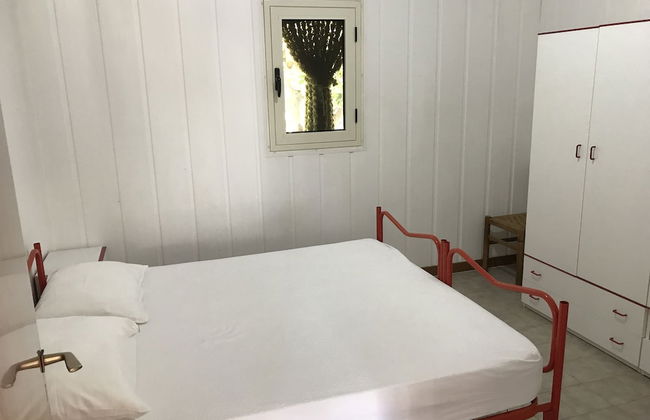 Funno delle noci - Foto 2