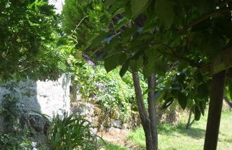 Carneiro Country Houses Casa do Avô - Foto 6