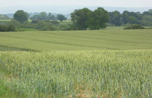 High Oak Holiday Cottage - Foto 35