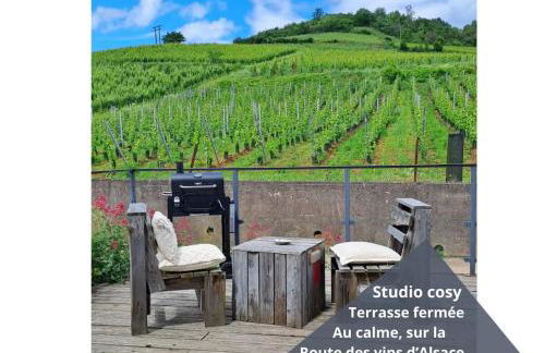 Au pied des vignes - Foto 31