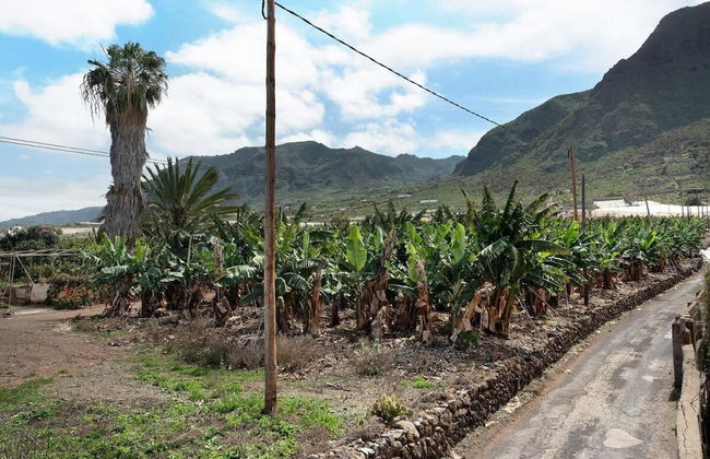 House El Cardón A1 in Buenavista del Norte - Foto 27