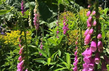 Bentley Rise - Photo 30