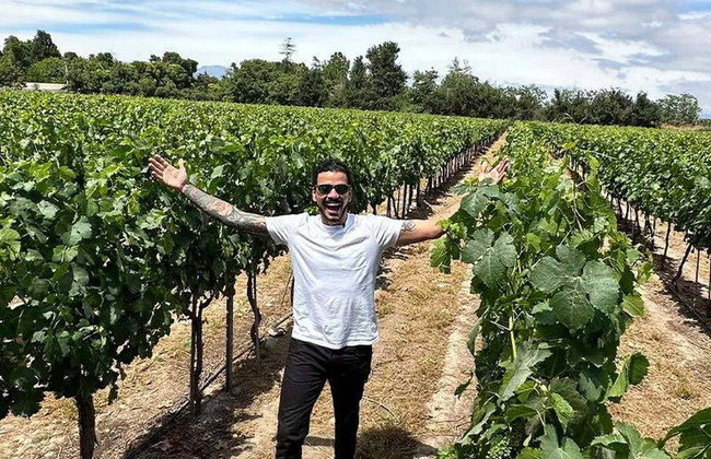 Excursão à Vinícola Undurraga - Foto 3