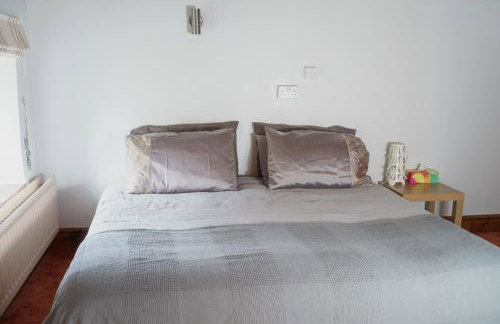 Horseshoe Cottage Aberaeron - Foto 9