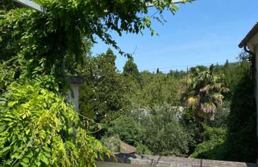 Cécile - Mas de Rousseau - Foto 16